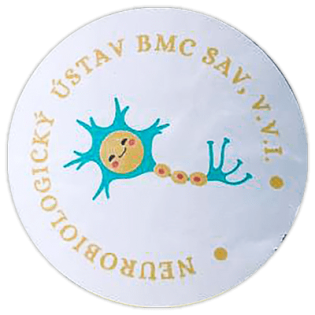 BMC SAV wanted street sticker spotted in Prešov in 2025