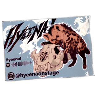 Hyeena wanted street sticker spotted in Prešov in 2025