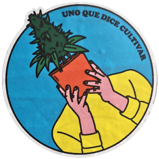 UQDC wanted sticker spotted in Bangkok in 2025