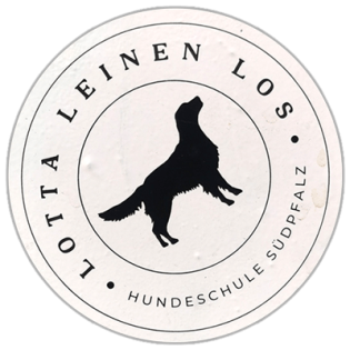Lotta Leinen Los wanted sticker spotted in Bangkok in 2025