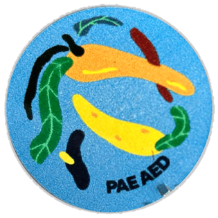 Pae Aed wanted sticker spotted in Tallinn in 2024