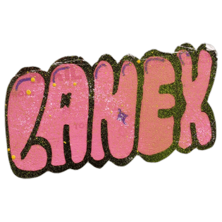 Lanex wanted sticker spotted in Prešov in 2025