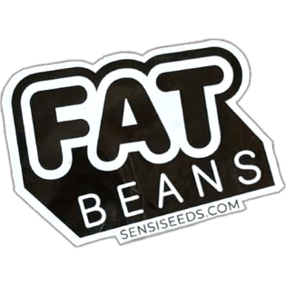 Fat Beans wanted sticker spotted in Marrakesh in 2026