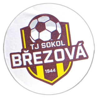 TJ Sokol Březová wanted sticker spotted in Košice in 2026