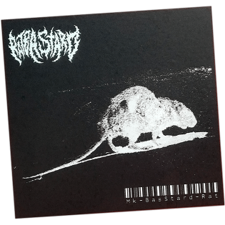 Mk Basstard Rat wanted sticker spotted in Prague in 2023
