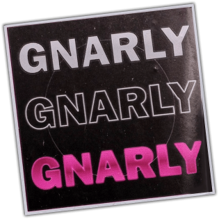 Gnarly wanted sticker spotted in Prague in 2026