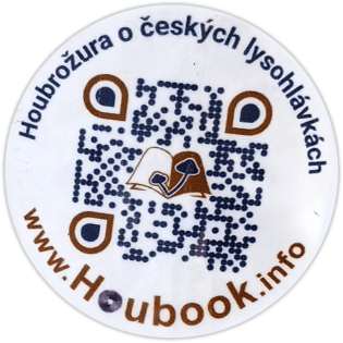 Houbook sticker spotted in Prague in 2026