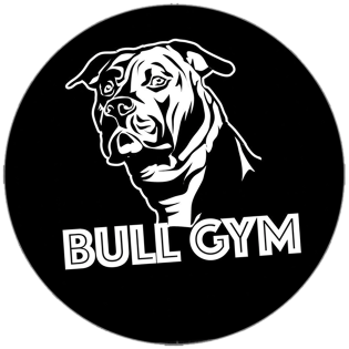 Bull Gym sticker spotted in Prague in 2026